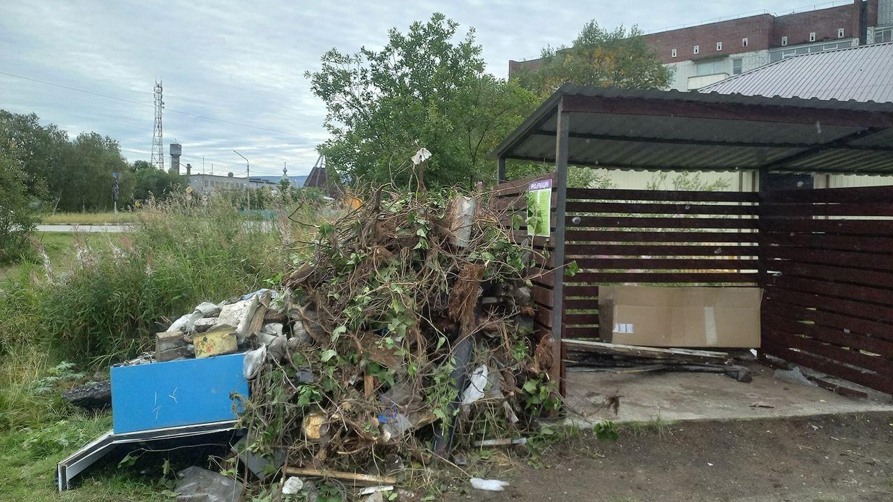 Северянам напомнили о запрете на складирование веток и травы на контейнерных площадках